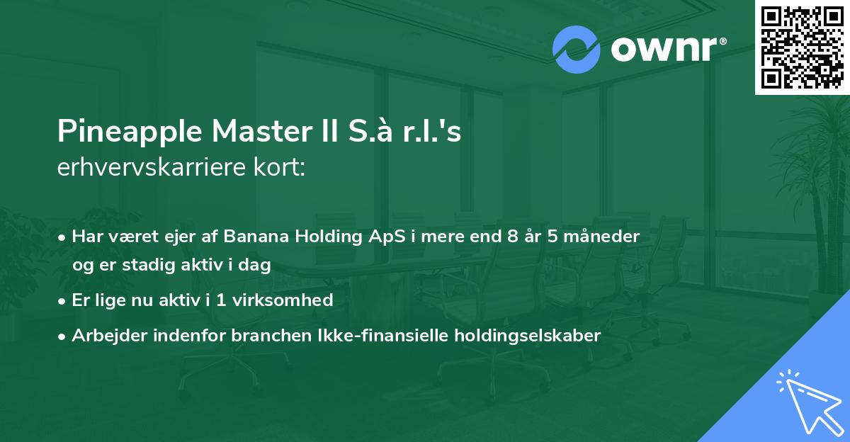 Pineapple Master II S.à r.l.'s erhvervskarriere kort