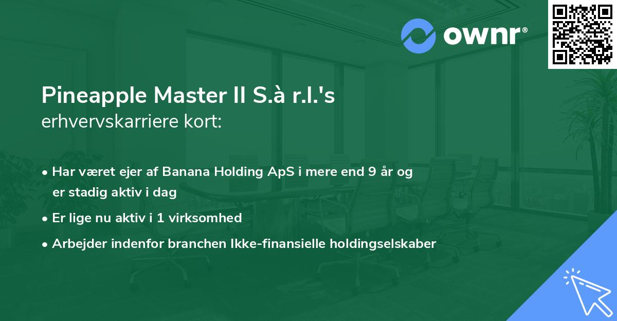 Pineapple Master II S.à r.l.'s erhvervskarriere kort