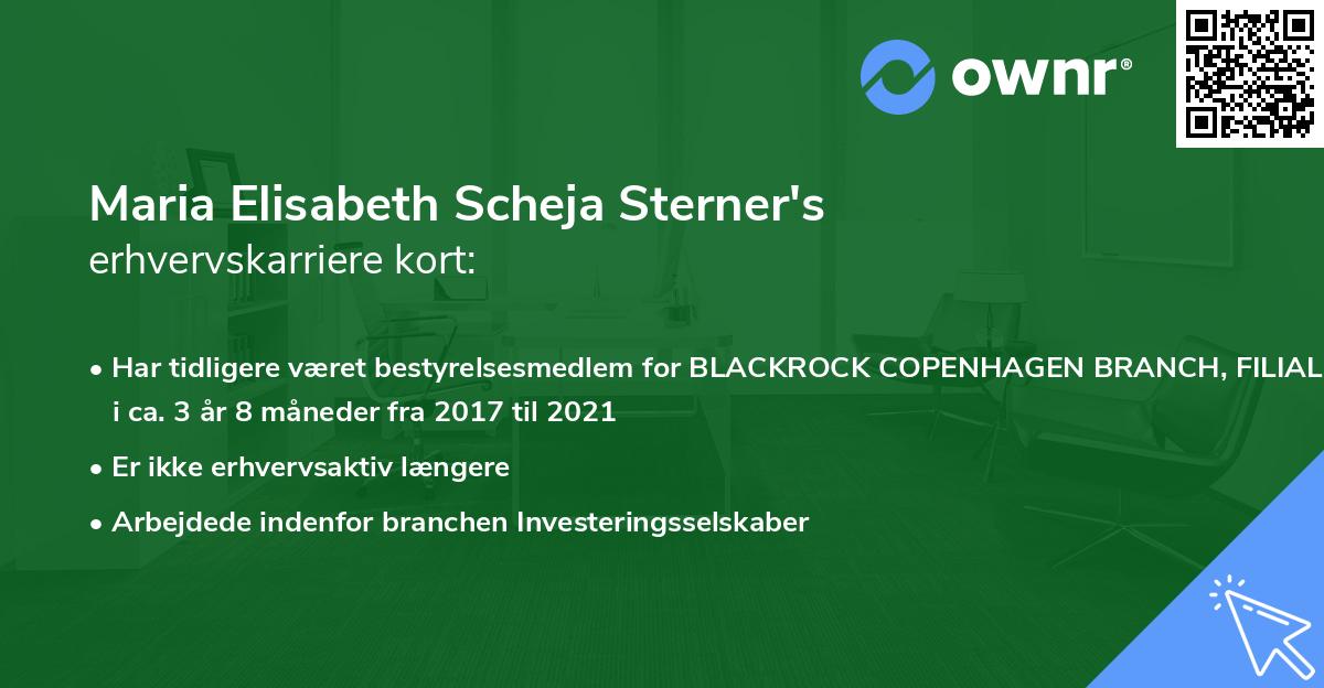 Maria Elisabeth Scheja Sterner's erhvervskarriere kort