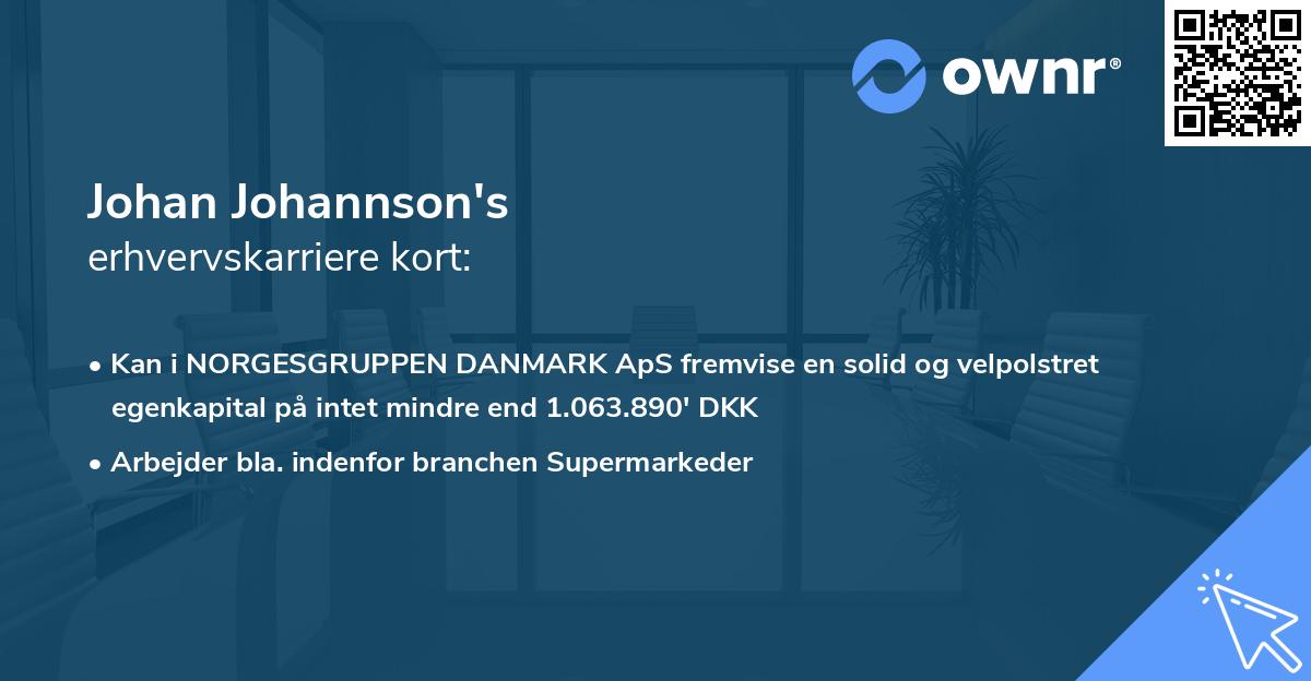 Johan Johannson's erhvervskarriere kort