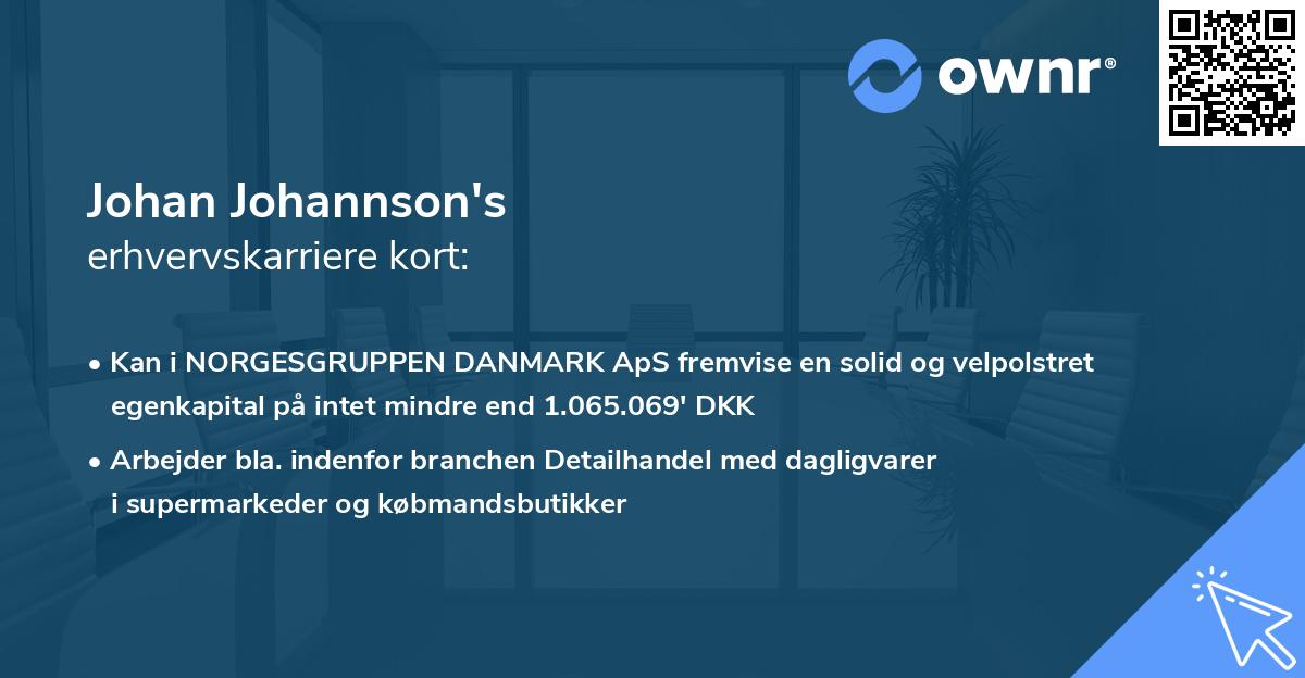 Johan Johannson's erhvervskarriere kort