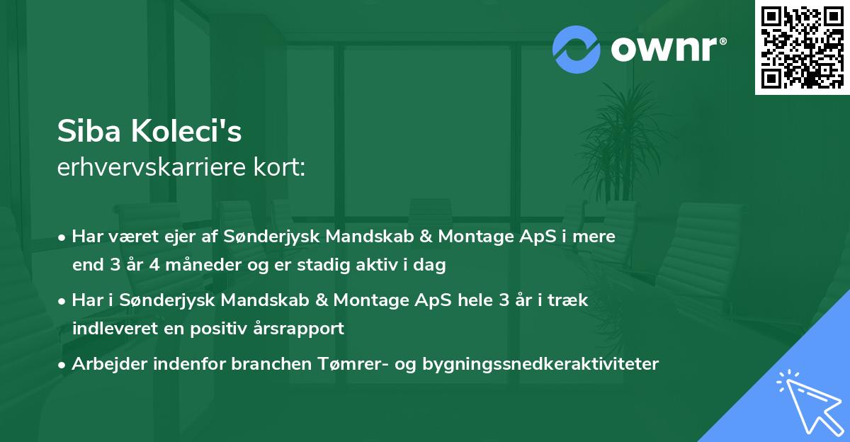 Siba Koleci's erhvervskarriere kort