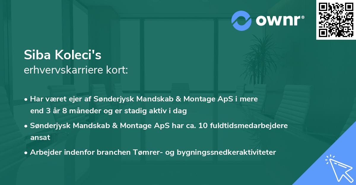 Siba Koleci's erhvervskarriere kort