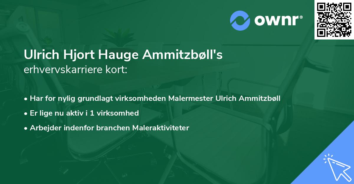 Ulrich Hjort Hauge Ammitzbøll's erhvervskarriere kort