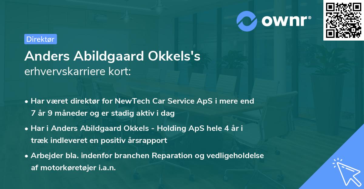 Anders Abildgaard Okkels's erhvervskarriere kort