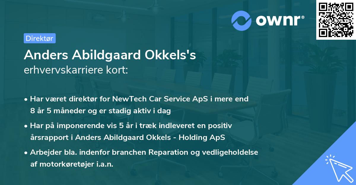 Anders Abildgaard Okkels's erhvervskarriere kort