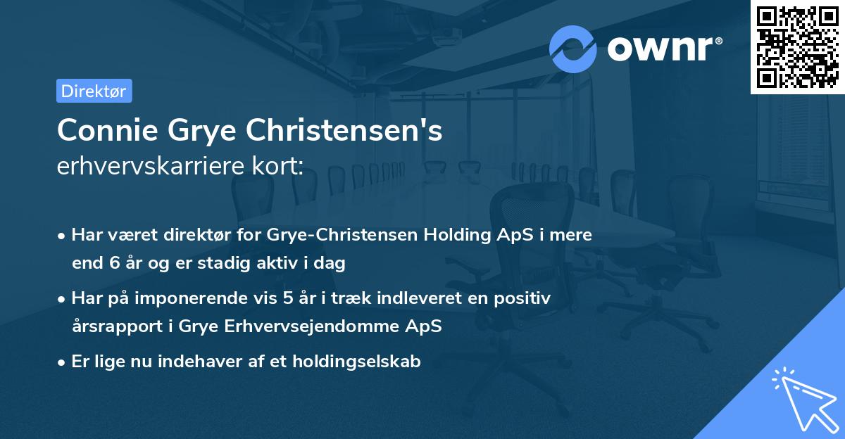 Connie Grye Christensen's erhvervskarriere kort