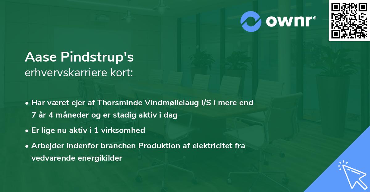 Aase Pindstrup's erhvervskarriere kort