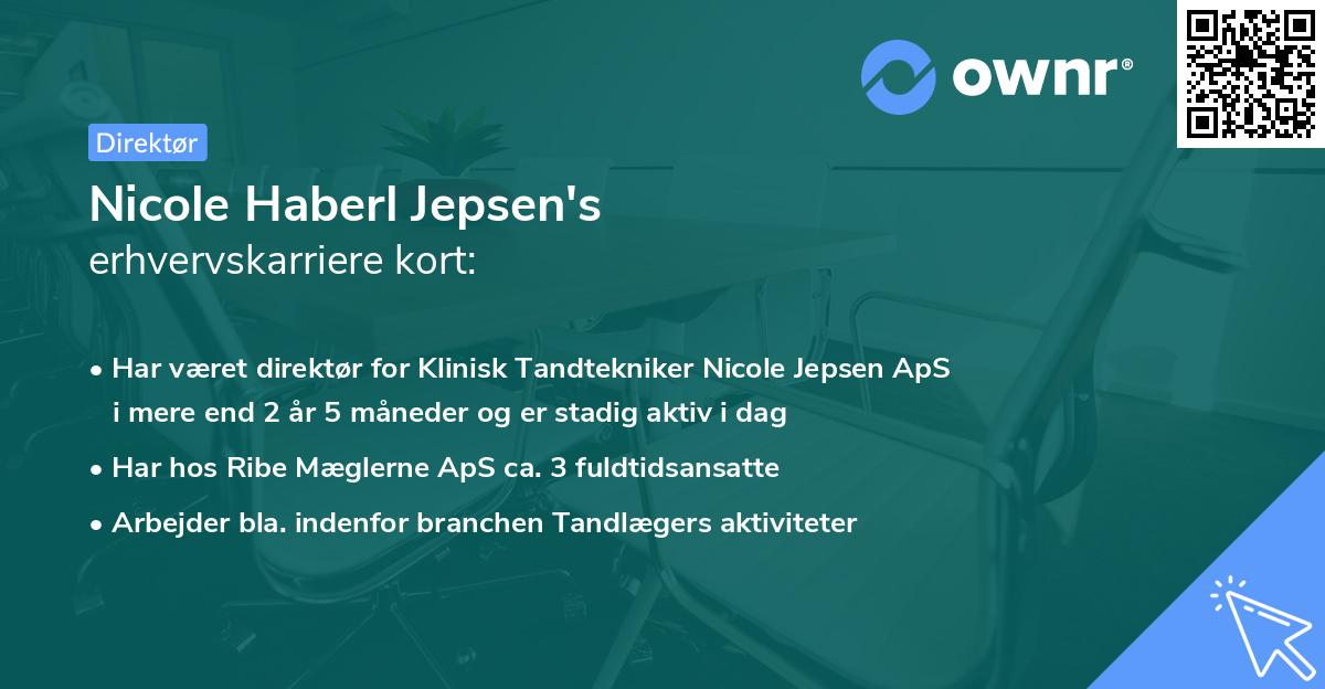 Nicole Haberl Jepsen's erhvervskarriere kort