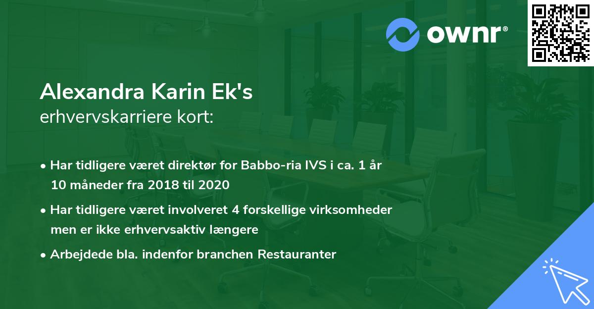 Alexandra Karin Ek's erhvervskarriere kort