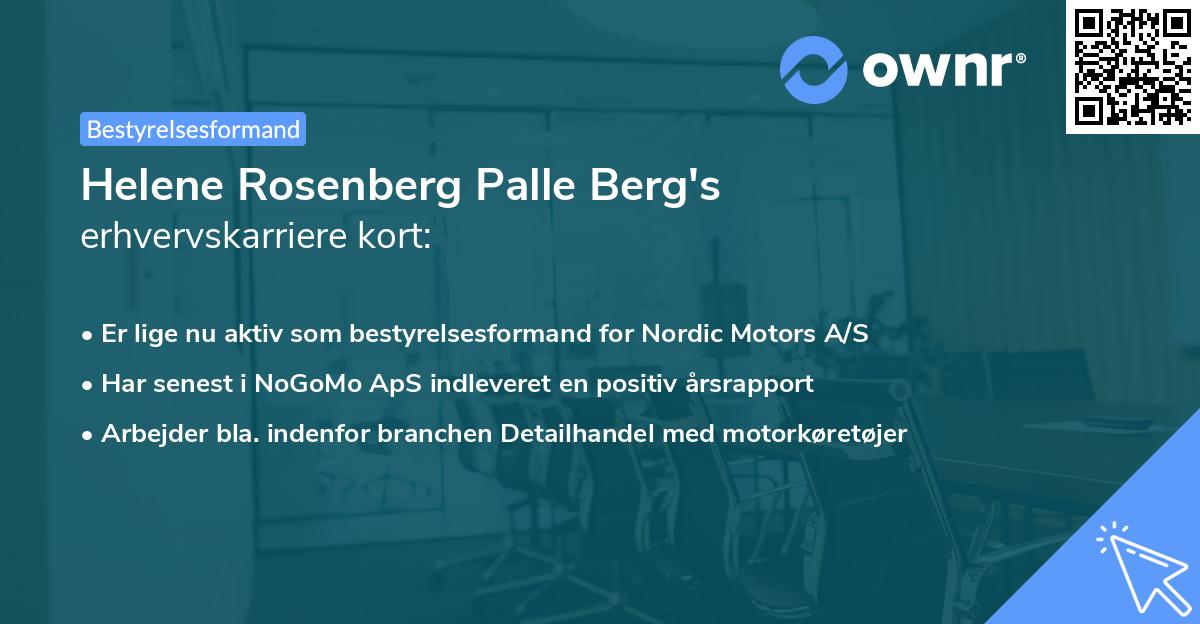 Helene Rosenberg Palle Berg's erhvervskarriere kort
