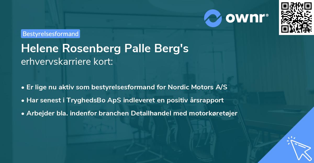 Helene Rosenberg Palle Berg's erhvervskarriere kort