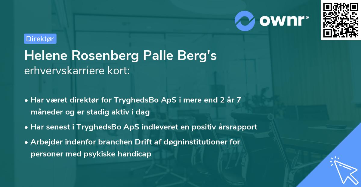 Helene Rosenberg Palle Berg's erhvervskarriere kort