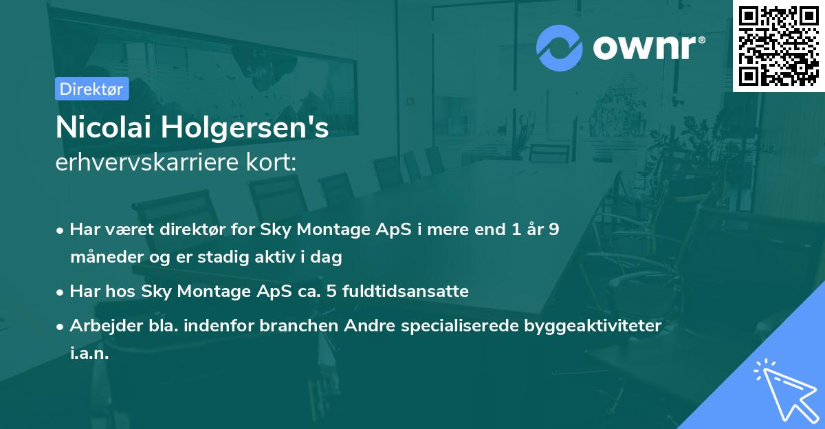 Nicolai Holgersen's erhvervskarriere kort