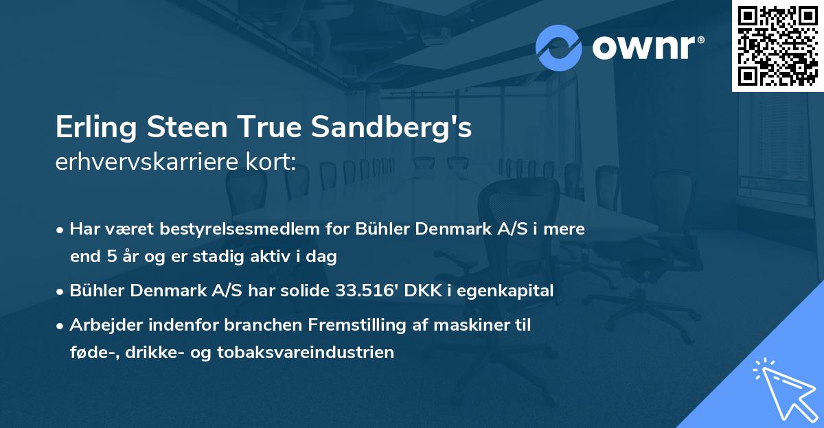Erling Steen True Sandberg's erhvervskarriere kort