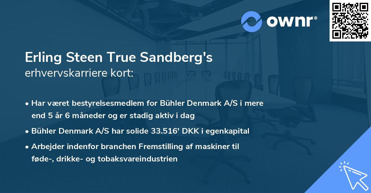 Erling Steen True Sandberg's erhvervskarriere kort