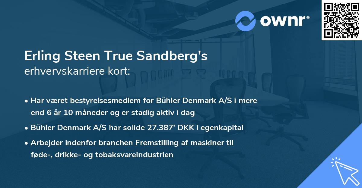 Erling Steen True Sandberg's erhvervskarriere kort