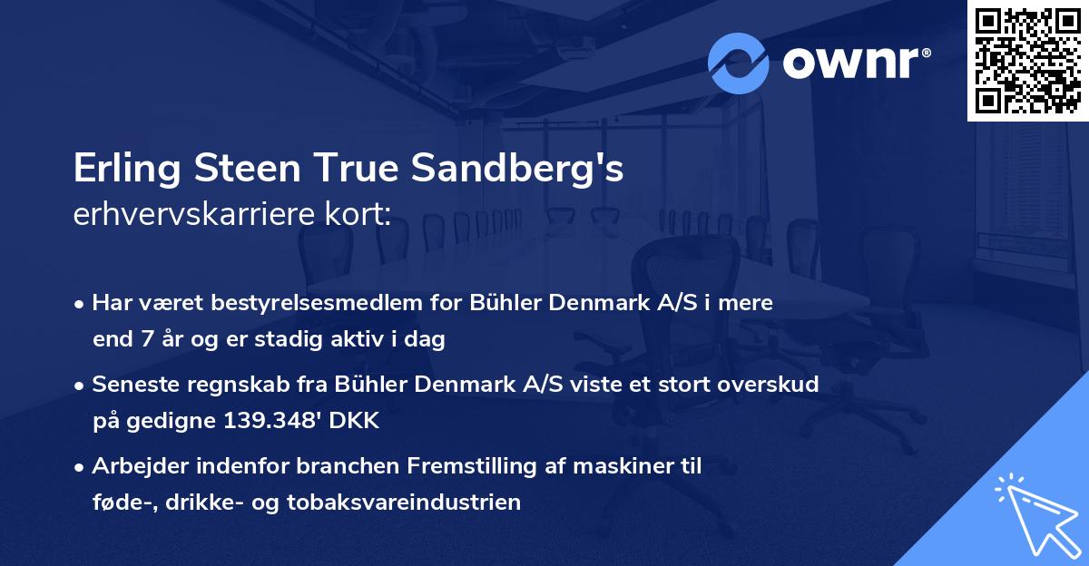 Erling Steen True Sandberg's erhvervskarriere kort