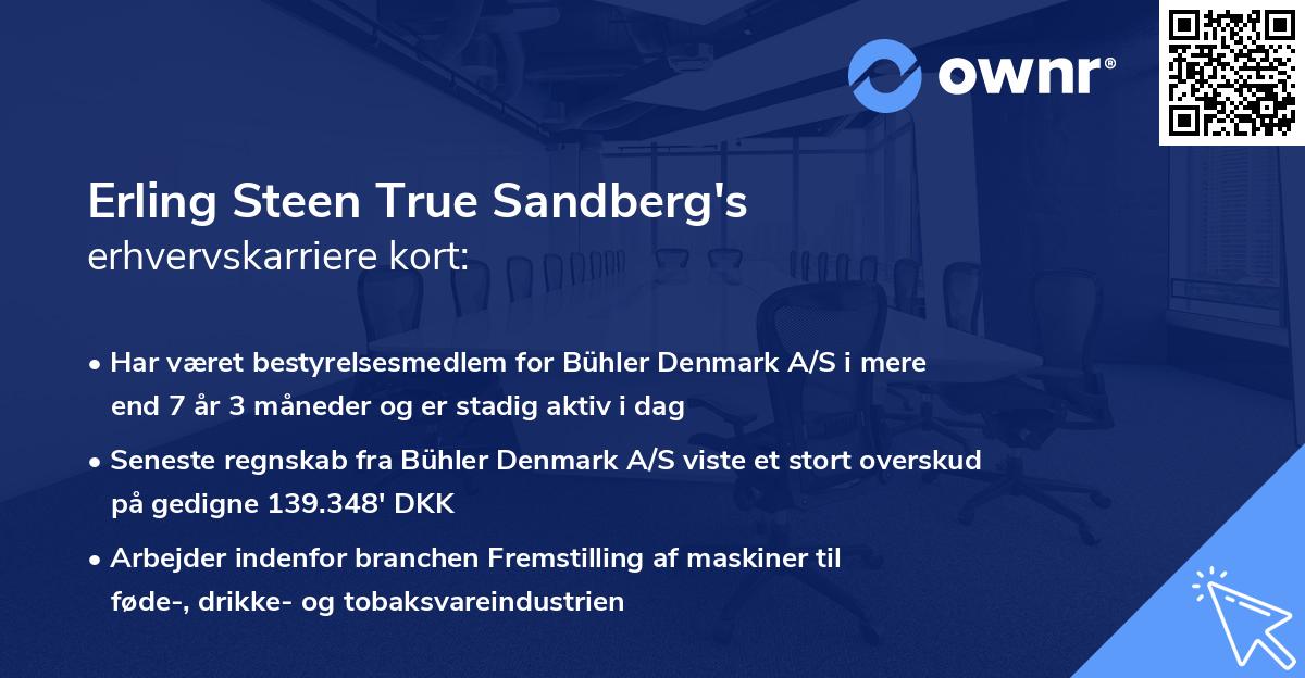Erling Steen True Sandberg's erhvervskarriere kort