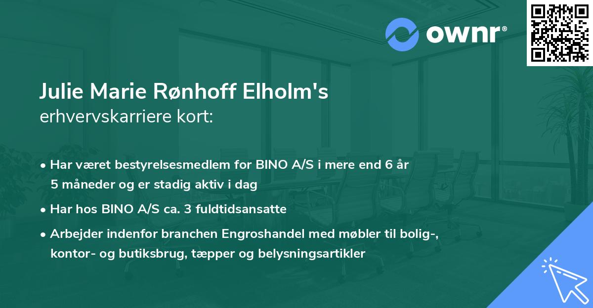 Julie Marie Rønhoff Elholm's erhvervskarriere kort