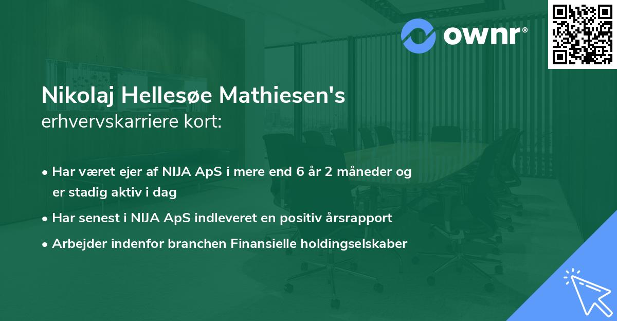 Nikolaj Hellesøe Mathiesen's erhvervskarriere kort