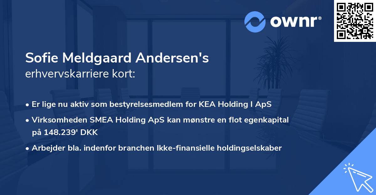 Sofie Meldgaard Andersen's erhvervskarriere kort