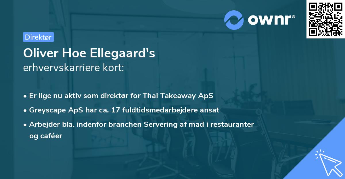 Oliver Hoe Ellegaard's erhvervskarriere kort