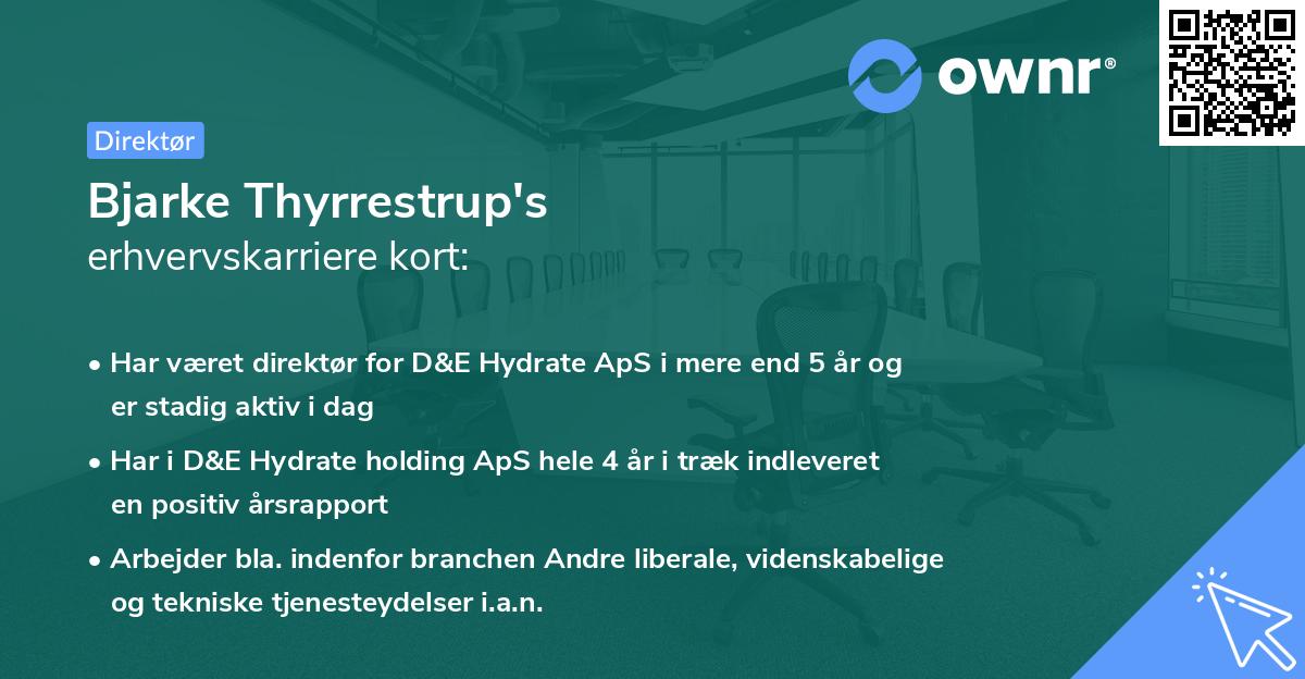Bjarke Thyrrestrup's erhvervskarriere kort