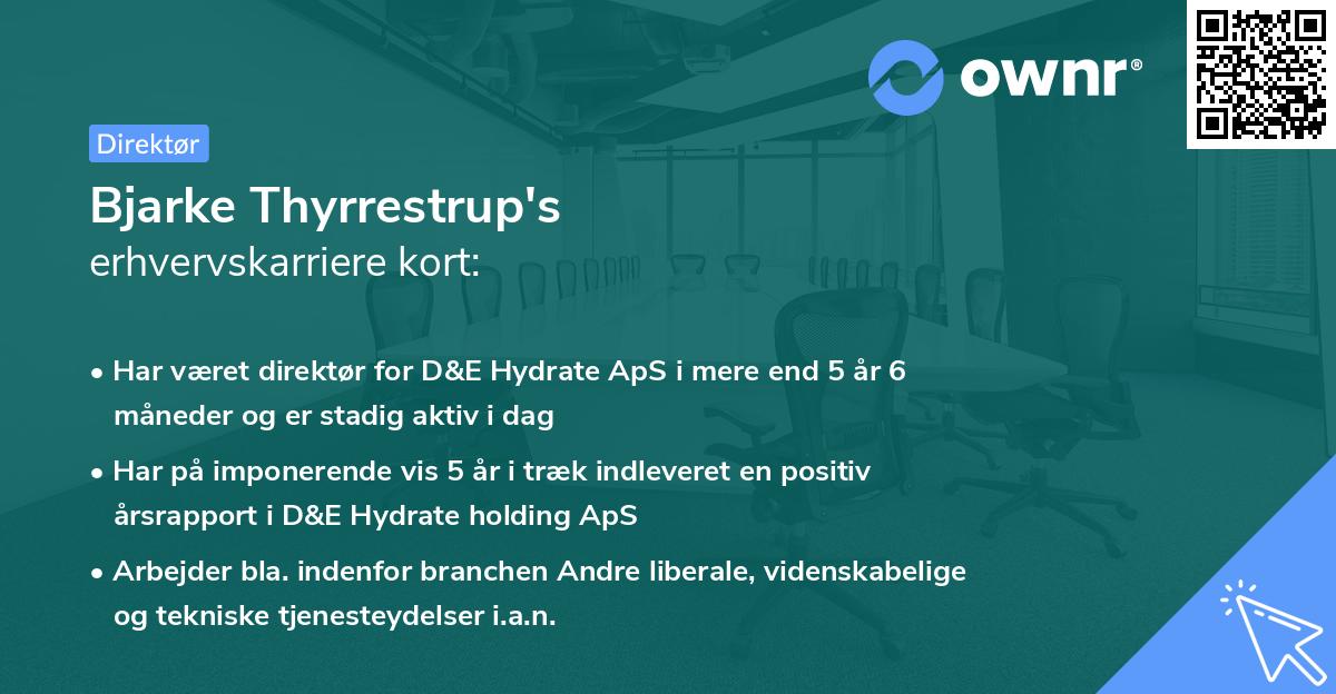 Bjarke Thyrrestrup's erhvervskarriere kort