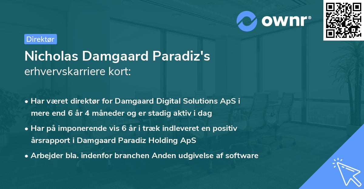 Nicholas Damgaard Paradiz's erhvervskarriere kort