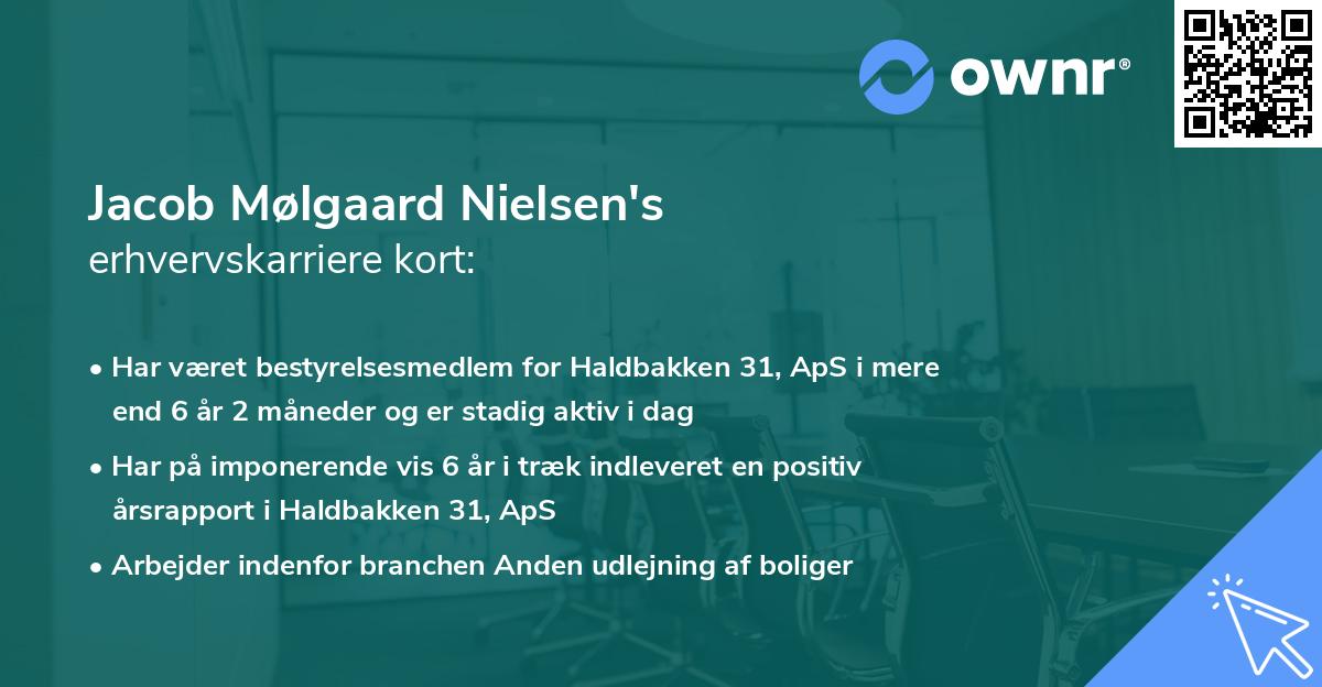 Jacob Mølgaard Nielsen's erhvervskarriere kort