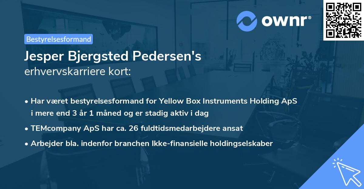 Jesper Bjergsted Pedersen's erhvervskarriere kort