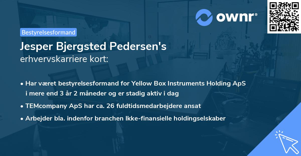 Jesper Bjergsted Pedersen's erhvervskarriere kort