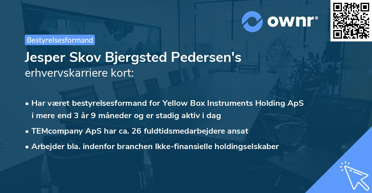 Jesper Skov Bjergsted Pedersen's erhvervskarriere kort