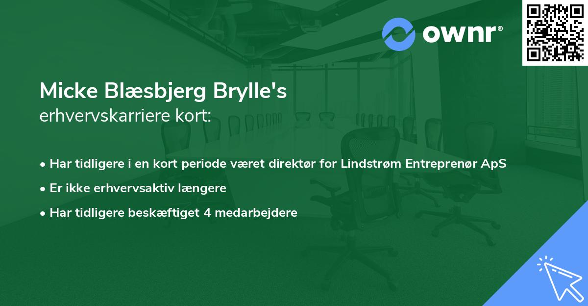 Micke Blæsbjerg Brylle's erhvervskarriere kort