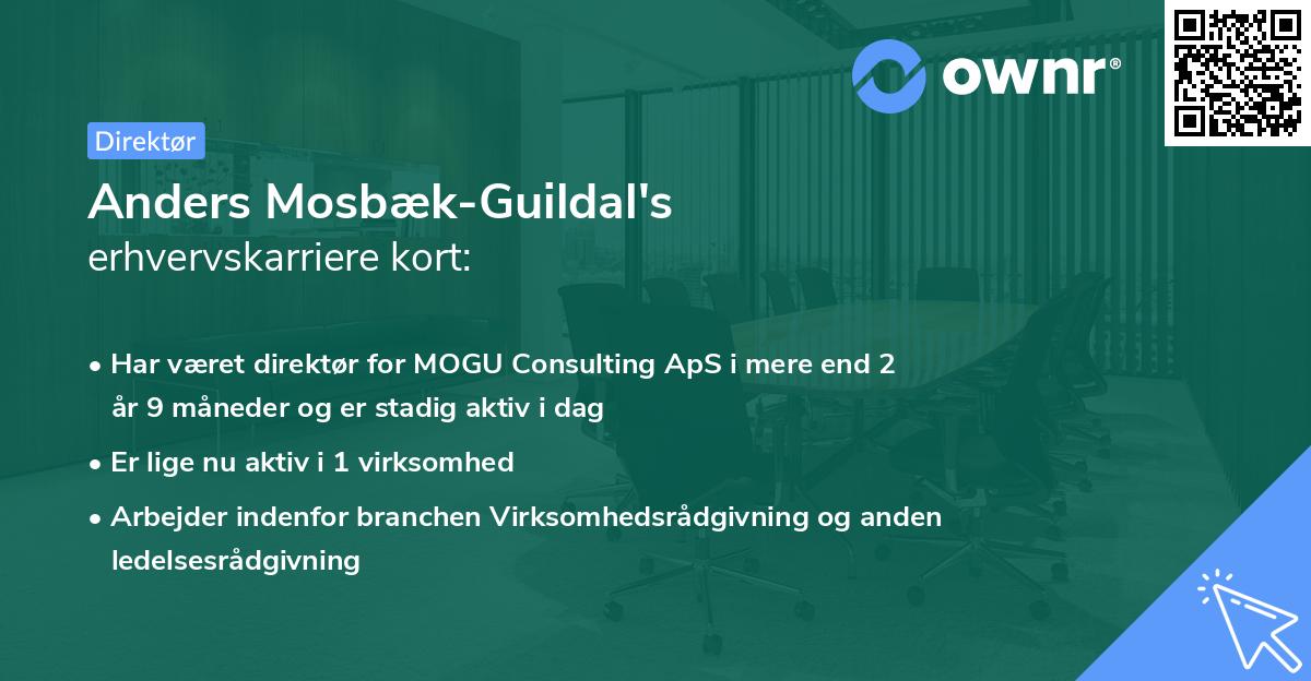 Anders Mosbæk-Guildal's erhvervskarriere kort