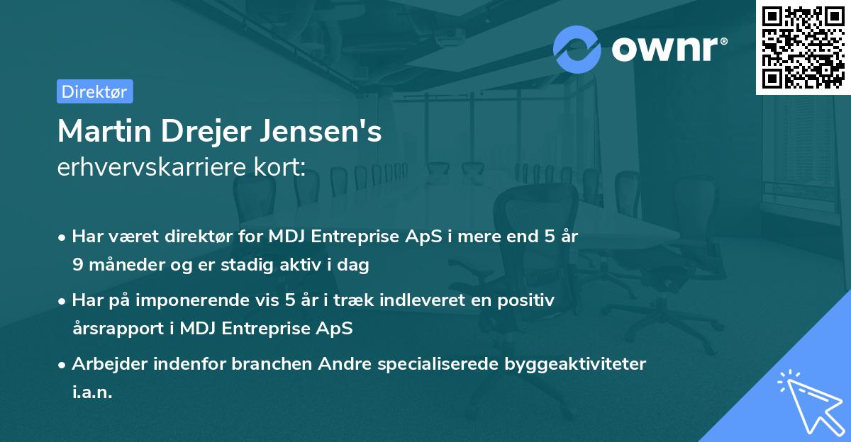 Martin Drejer Jensen's erhvervskarriere kort
