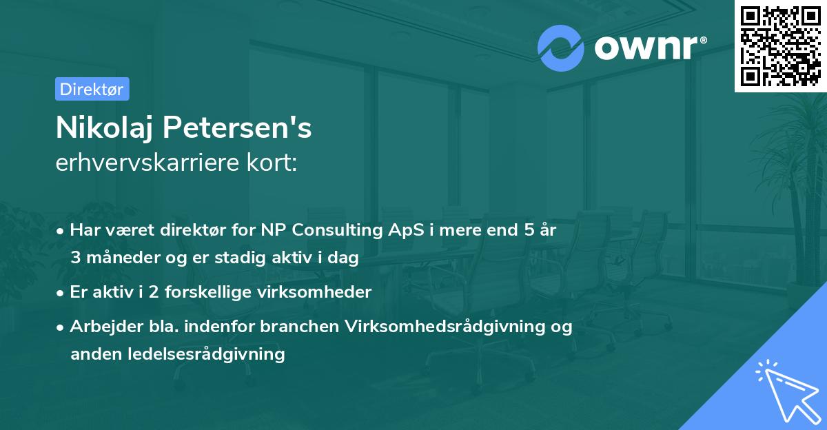 Nikolaj Petersen's erhvervskarriere kort