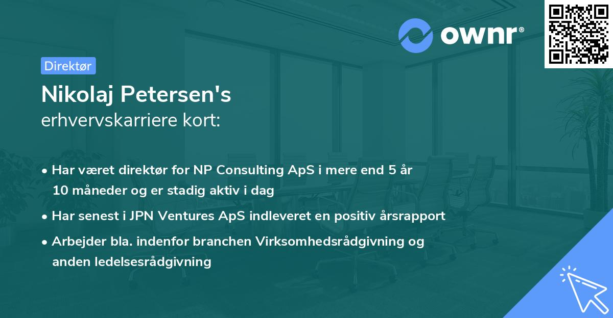 Nikolaj Petersen's erhvervskarriere kort