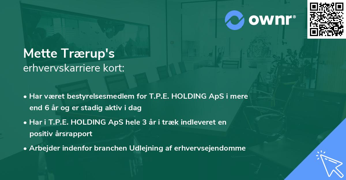 Mette Trærup's erhvervskarriere kort