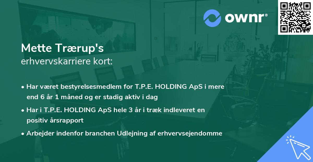 Mette Trærup's erhvervskarriere kort