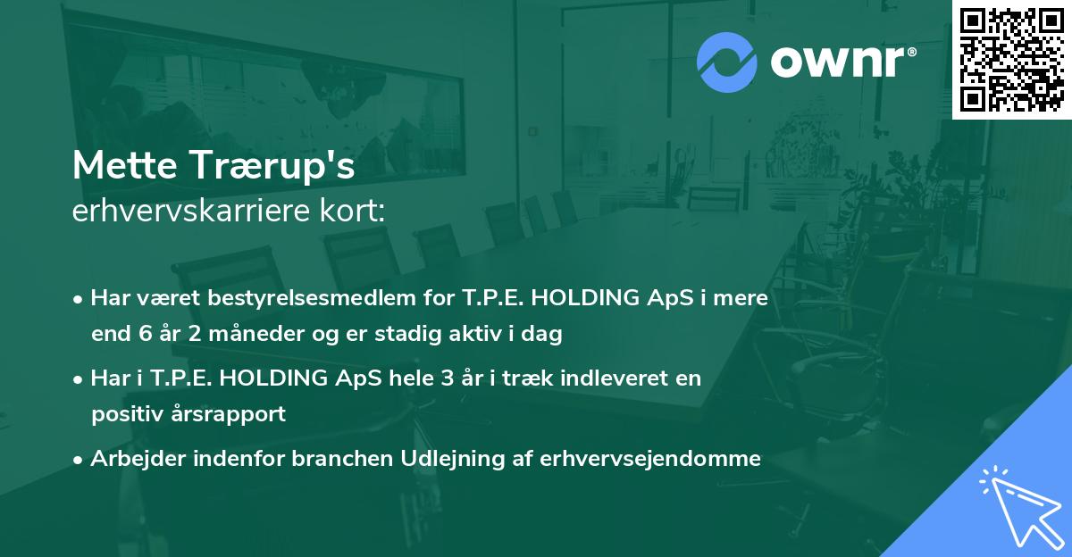 Mette Trærup's erhvervskarriere kort