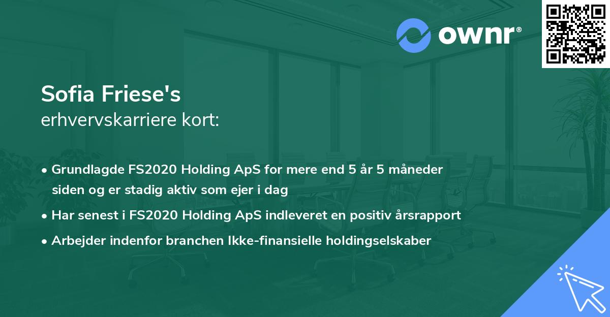 Sofia Friese's erhvervskarriere kort