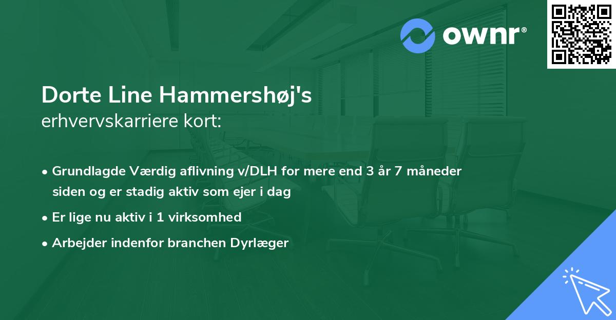 Dorte Line Hammershøj's erhvervskarriere kort