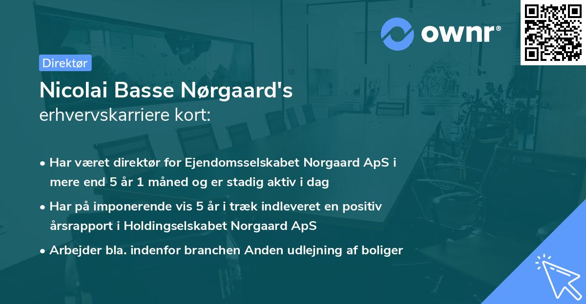 Nicolai Basse Nørgaard's erhvervskarriere kort