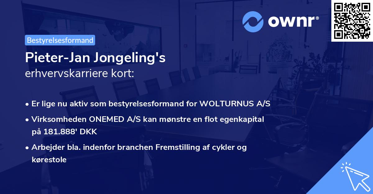 Pieter-Jan Jongeling's erhvervskarriere kort