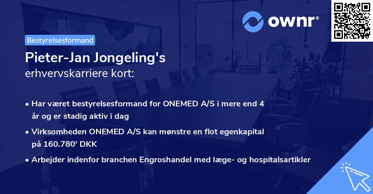 Pieter-Jan Jongeling's erhvervskarriere kort