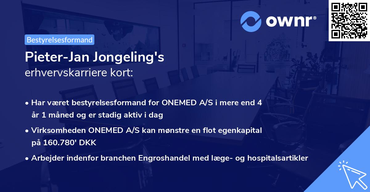 Pieter-Jan Jongeling's erhvervskarriere kort