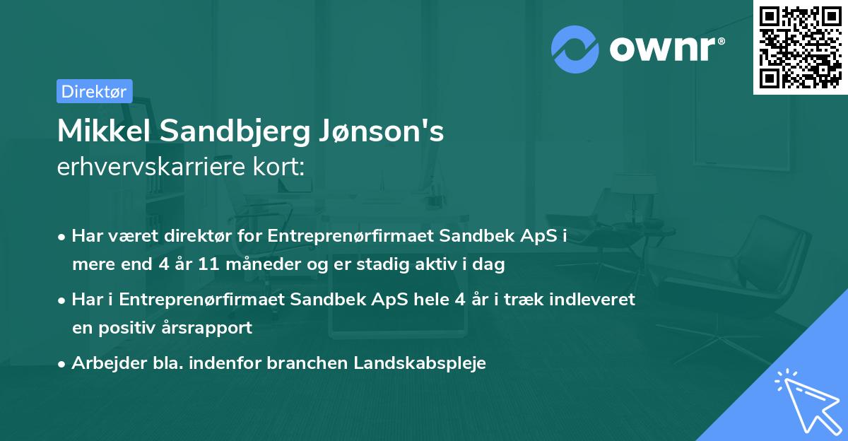 Mikkel Sandbjerg Jønson's erhvervskarriere kort