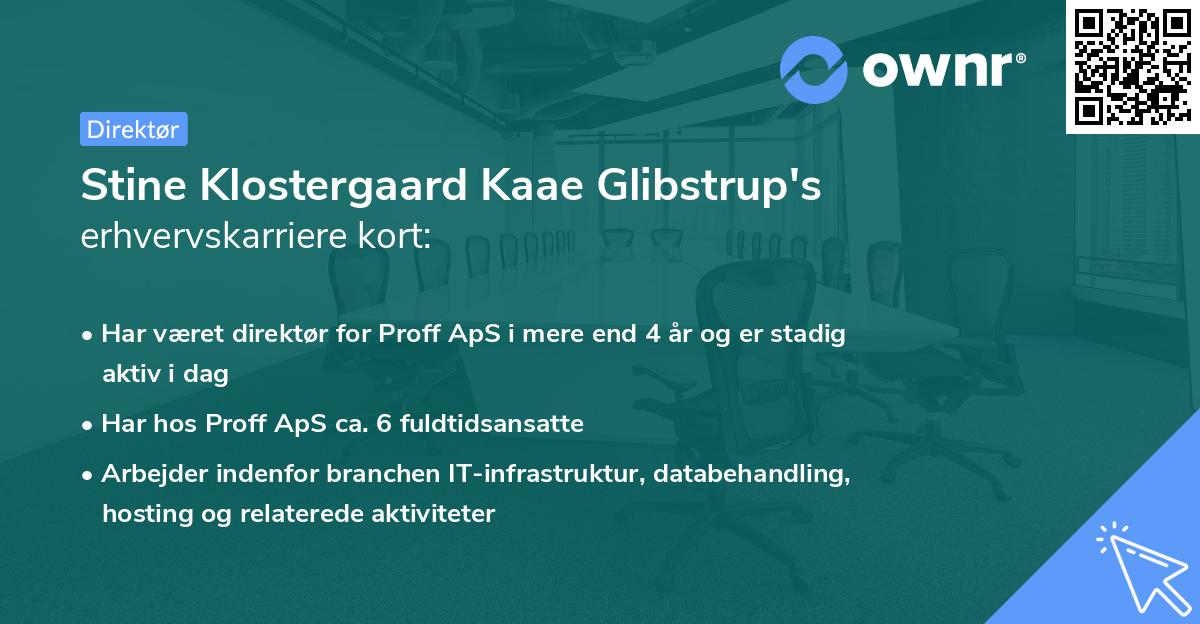 Stine Klostergaard Kaae Glibstrup's erhvervskarriere kort